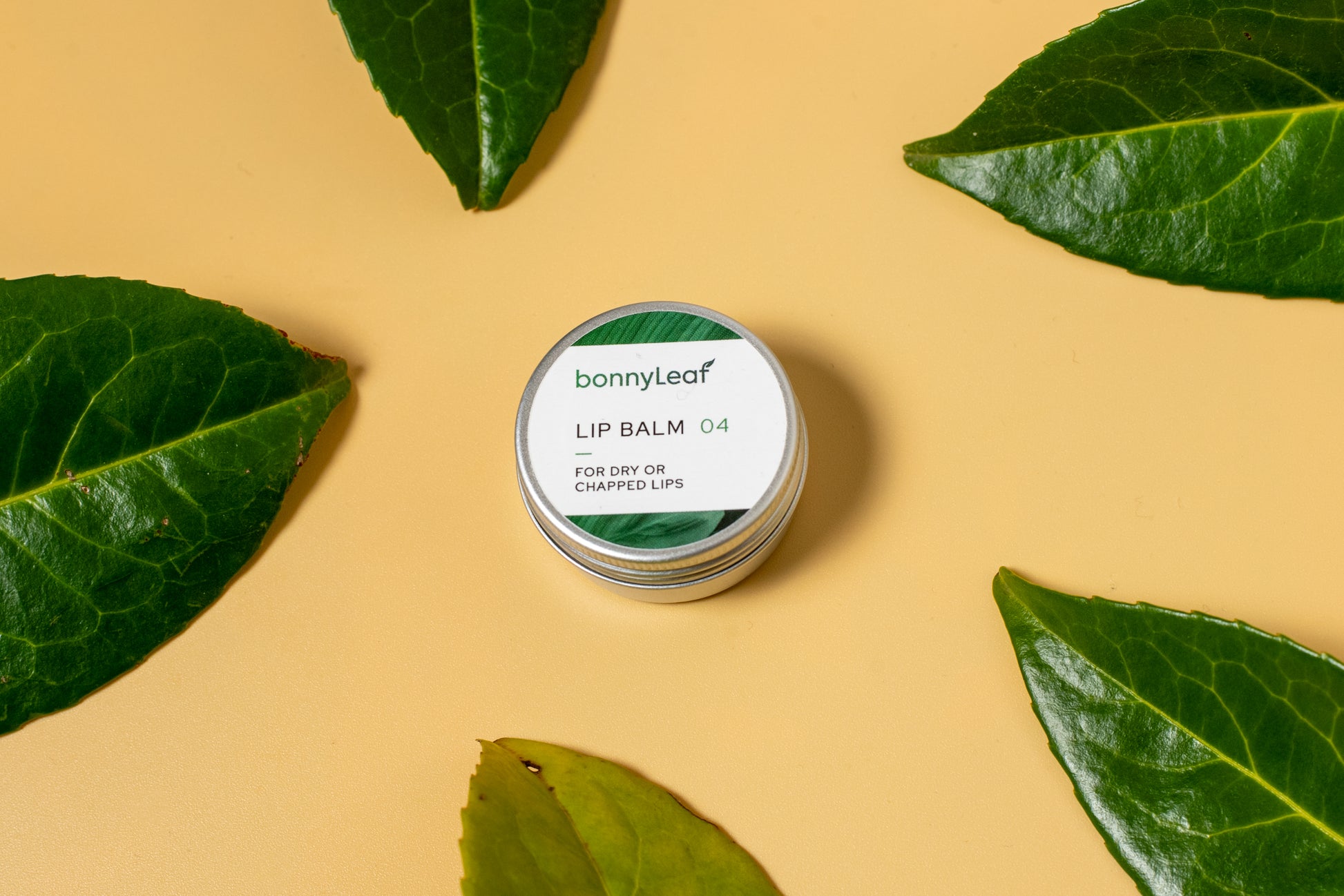 LIP BALM 04