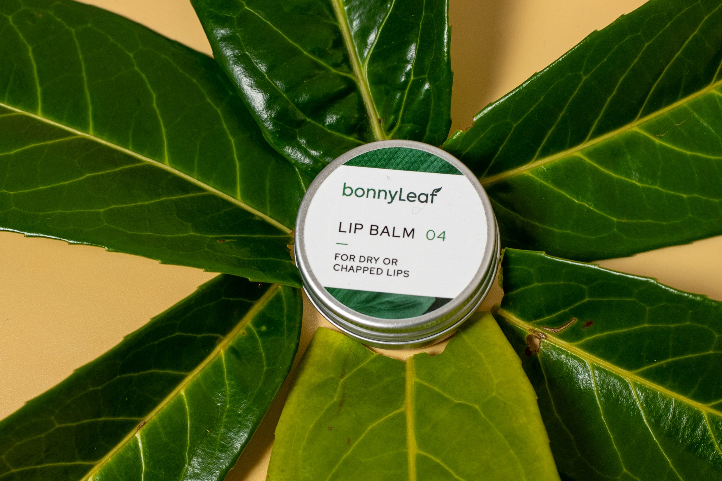 LIP BALM 04